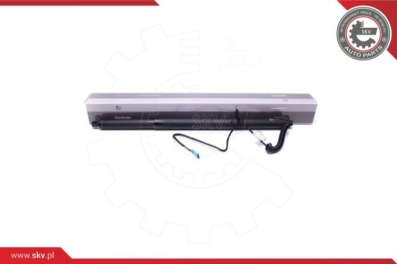 52SKV930 ESEN SKV Electric Motor, tailgate for BMW