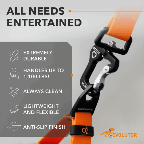 Orange Evolutor Extra Heavy Duty Dog Leash 10 Ft Durable Leash for Large Dogs - Picture 4 of 6