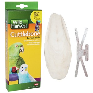 cuttlefish bone for dogs