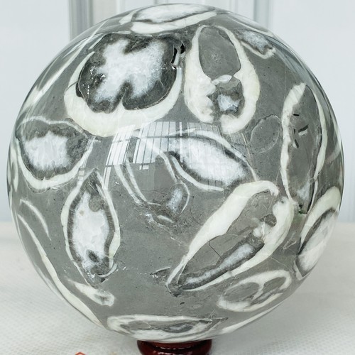 Natural Shell Thousand Eye Stone Jasper Quartz Crystal Ball Reiki Healing 3940G - Picture 3 of 12