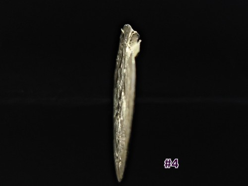 1548-56 ML Mexico 1 Reale Charles & Joanna---#4 - 第 3/4 張圖片