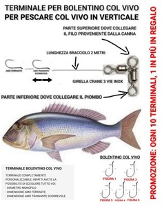 TERMINALE PESCA IN VERTICALE COL VIVO / BOLENTINO COL VIVO DENTICI CERNIE PAGRI