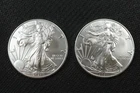NobleSpirit (LG) Desirable American SILVER Eagle Pair 2021 Superb GEM BU