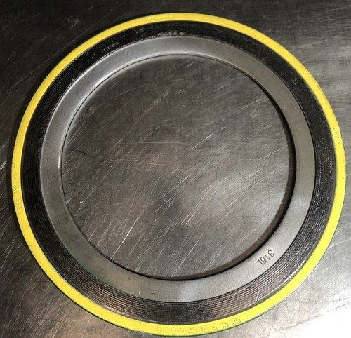 Flexitallic 6” 150 ASME B16.20 Gasket 316L/316L/FG
