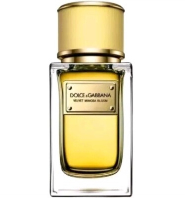 VELVET MIMOSA BLOOM by Dolce & Gabbana 50 ml/ 1.6 oz Eau de Parfum Spray W/ Box