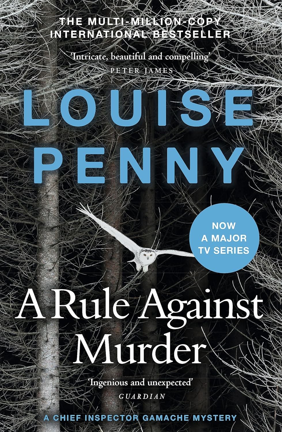 A Rule Against Murder: thrilling and page-turning crime fiction from the author of the bestselling Inspector Gamache novels (Chief Inspector Gamache) - Image 7