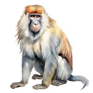 Monkey Ape Animal Jungle Self Adhesive Vinyl Sticker