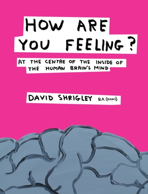 How Are You Feeling David Shrigley Illustrated Humour Book - Image 4