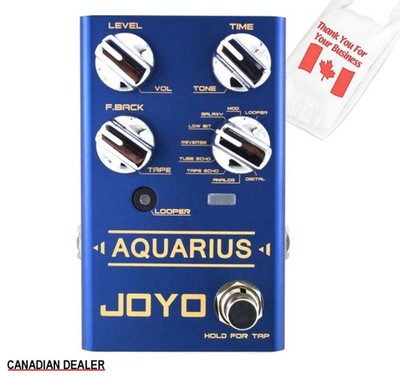 JOYO Aquarius R-07 Looper + Delay Guitar Effect Pedal Revolution R Series R-07 C