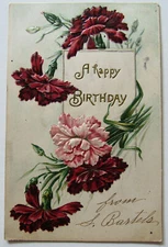 Happy Birthday Postcard Flowers Carnation 1907 Postmark 