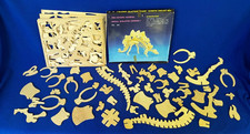 Pre-historic museum animal dinosaur skeleton assembly Stegosaurus
