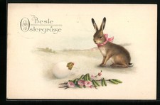 Coniglietto pasquale accanto al pulcino pasquale che si schiude, cartolina 