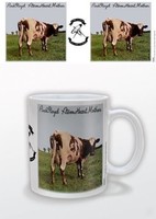 Pink Floyd Atom Heart Mother Tasse Mug Pyramid International