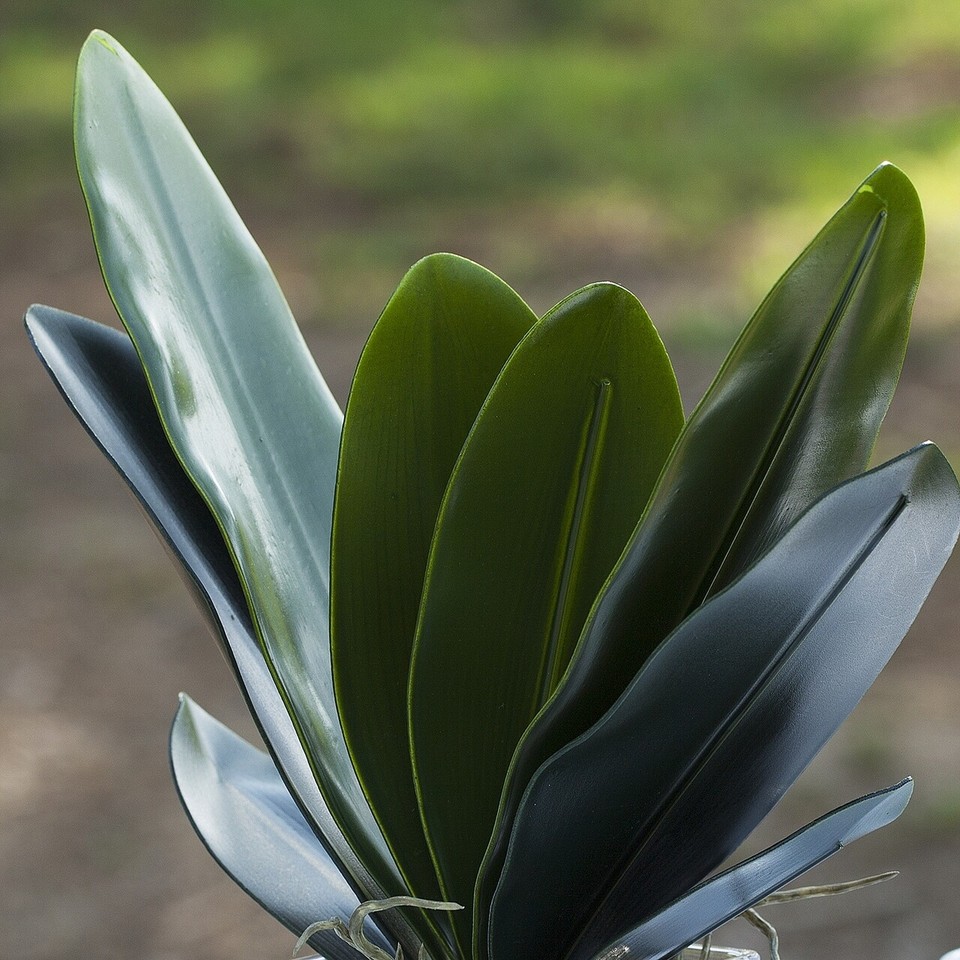 Enova Home Artificial Orchid Leaves Faux Plant Arrangement Green eBay