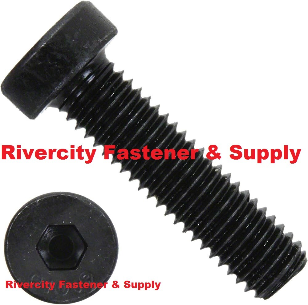 M5-0.8 x 20 Low Head Socket Allen Cap Screws 5mm x 20mm Bolts M5x