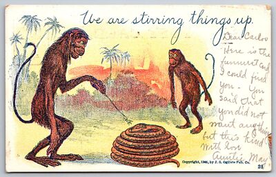 Syracuse New York~Monkey Poking Snake With Stick Stirring Things Up~Comic Pun