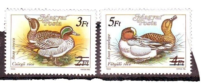 鸭类完好未铰/全新邮票匈牙利邮票