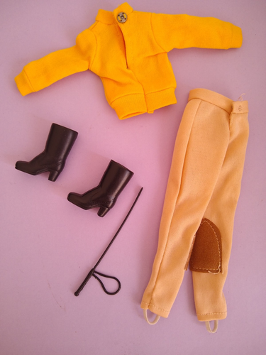 Vintage 1978 Sindy Doll Pony Rider Complete - Picture 2 of 2