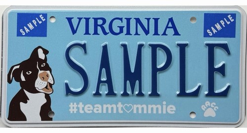 *SAMPLE SALE* Virginia TEAM TOMMIE Sample License Plate