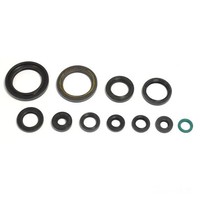 Dichsatz Motordichtringe Motor Dichtung FüR Generic Xor 50 Stroke Bj. 2005