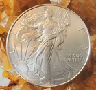 2025 W American Silver Eagle  Ungraded, 1oz Superb Condition , Glove Handled !!!