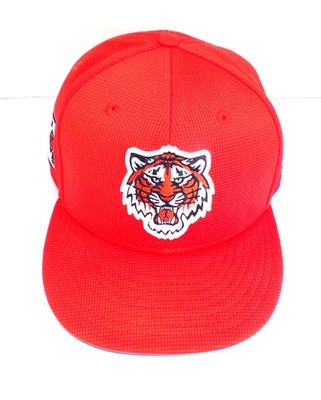 2025 Detroit Tigers Robin Lund #63 Team Issue Spring Training Cap COA PX074481