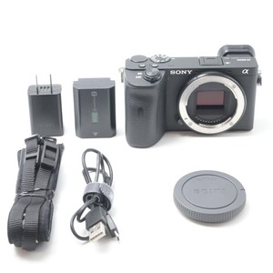 Sony A6600 Body | eBay