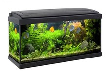 ACQUARIO MILO 80 IMPIANTO LUCE LED 93 LITRI 