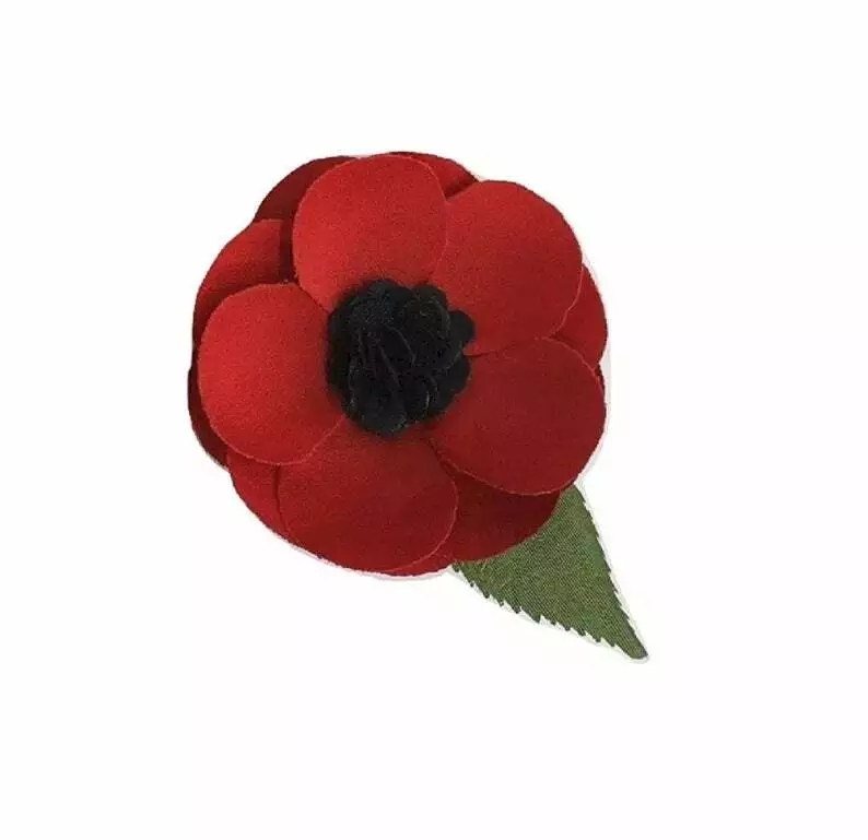 M&s poppy brooch sale