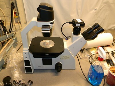Laxco LMI6-PH1 Phase Contrast Microscope with SeBaCam5C 5.1 MP Camera, 4X, 20X