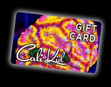 Cali Kid Gift Card CaliKid Corals Worth $210 Great Valentine Present