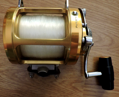 Penn International II 30SW- 2 Speed Reel Mint Condition | eBay