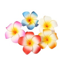 10 Pcs Multicolor Hawaii Plumeria Flower Clips Hawaiian Hair Barrettes Beach Par