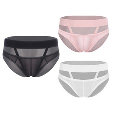 Men Briefs Bikini Underpants Swimwear Thongs Transparent Underwear Low Waist