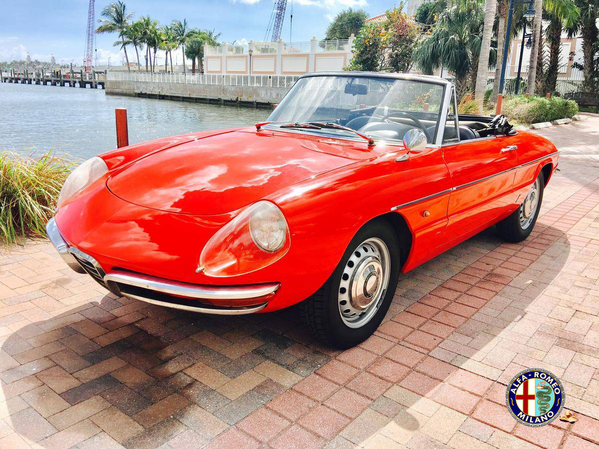 Panneau Bouclier Alfa Romeo Pour Giulia Spider 1750 Duetto S65 - Neuf - Pièce Vintage Italienne