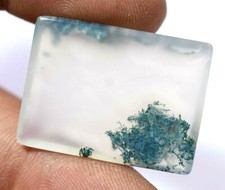 27.30 Ct Beautiful Natural African Moss Agate Untreated AAA Loose Gemstone