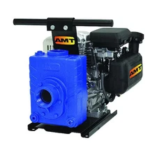 Amt Pumps 4229-95 Engine Driven Pump, Cast Iron, 5 Hp