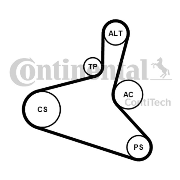 Continental Ctam Keilrippenriemensatz 6DPK1195K2 FüR VW Audi T5 Golf A3 Bora 1M1-image
