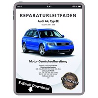 Audi A4 (00-08) Diesel Einspritz- VorglüHanlage 2,0L Werkstatthandbuch Pdf Datei