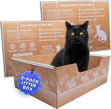 Leakproof Disposable 2-Pack Cat Litter Box - Unmatched Odor Control  Large
