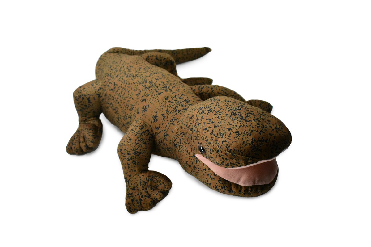 Salamander製です。 Giant Salamander, Lizard, Stuffed Animal, Plush Realistic Gift, 36