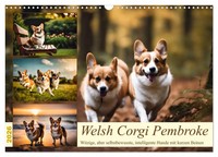 Claudia Kleemann | Welsh Corgi Pembroke (Wandkalender 2026 Din A3 Quer),...