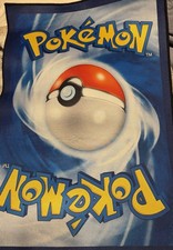 Pok mon rug