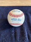 Tiger Stadium Final Game Comm Program + Robert Fick 9/27/99 Signed OAL Ball JSA — photo 6