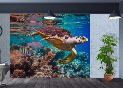 44151192 Stunning underwater coral reef fish turtle wallpaper wall mural