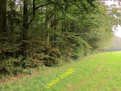 Foto 12x8 Woodland Edge, Ashton Court Estate Äbte Leigh\/ST5473 The wes c2014