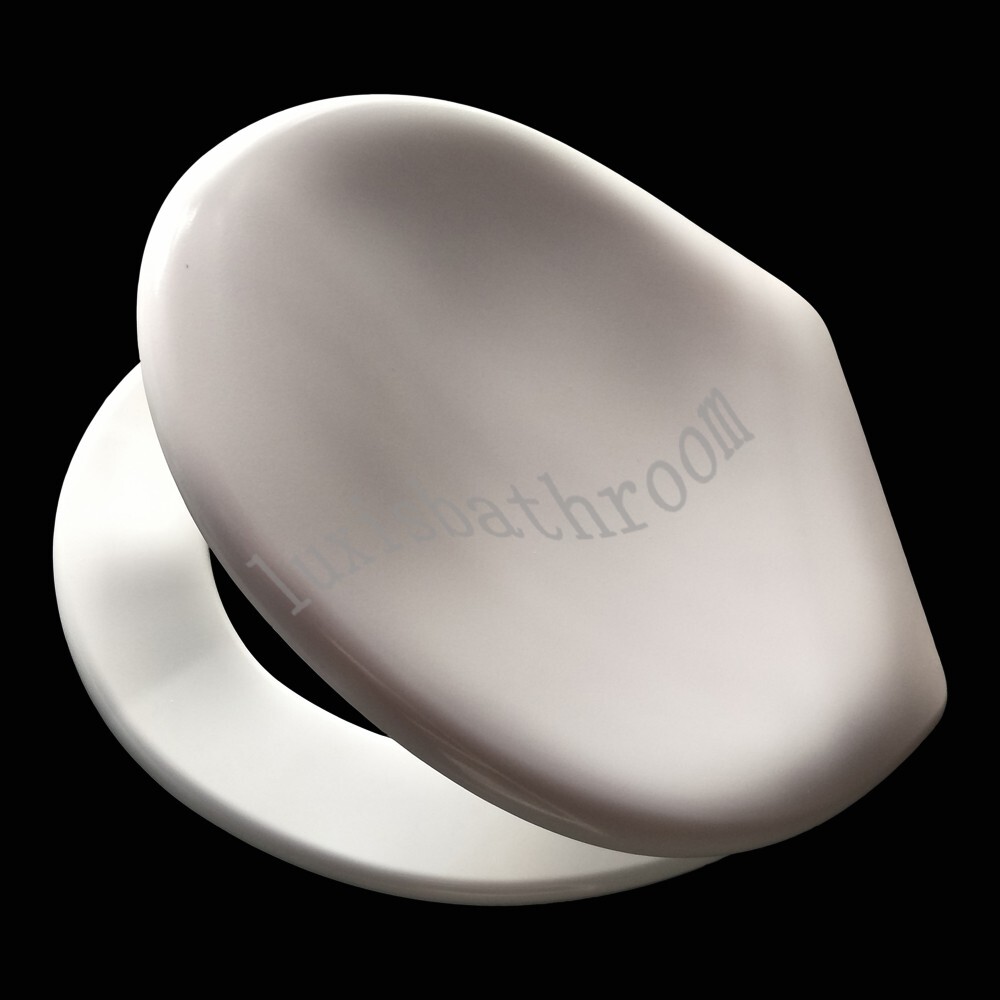 Heavy Duty Duroplast Toilet Seat Stainless Steel Hinges for Caroma