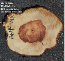 Maple Burl slab  live edge  cookie cut  DIY  End Table  Ma24-1644