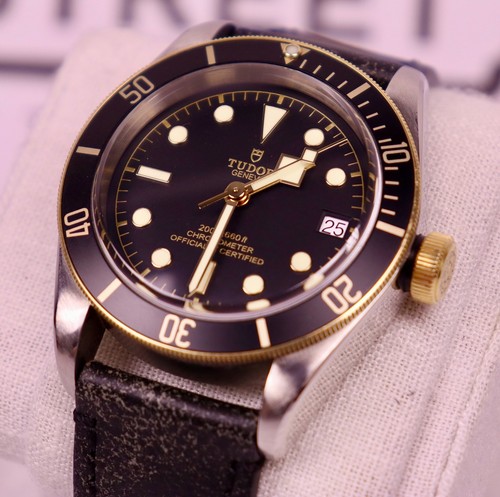Tudor Black Bay S&G Ref. 79733N Case #376