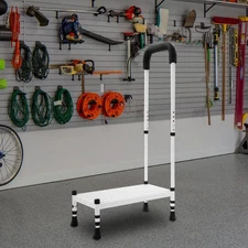 Step Stool with Handle, Adult Ramp with Handrail, Metal Stepping Stool